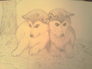 drawing of two dogs