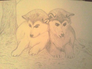 drawing of two dogs